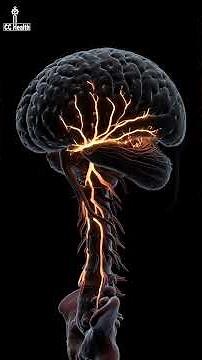Itch Isn’t Tiny Pain… It’s a Different System