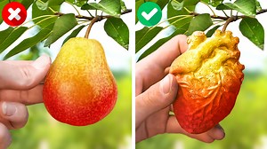 Cool ways to grow your own plants, fruits and veggies | Easy gardening hacks | 5-Minute Recycle