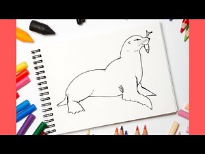 How To Draw a SEAL | Seal Drawing Tutorial Easy for Beginners