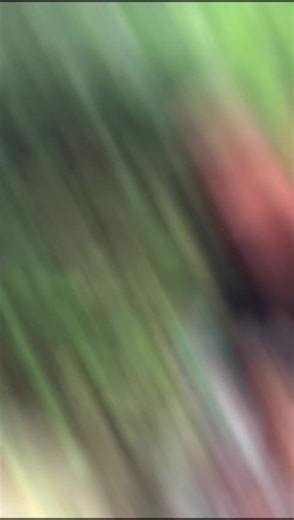 matur nwn pak Bayan pak RT