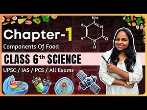 Class 6 NCERT Science Chapter 1 | Components Of Food Notes Explain | NCERT Science Class 6 Hindi