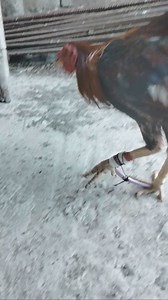 16K views · 404 reactions | Tutorial tari | Cortes Tutorial Vlogs | Facebook