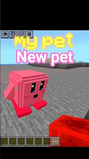 The Goofiest & Cutest Minecraft Pet Yet | Mods, bedrock