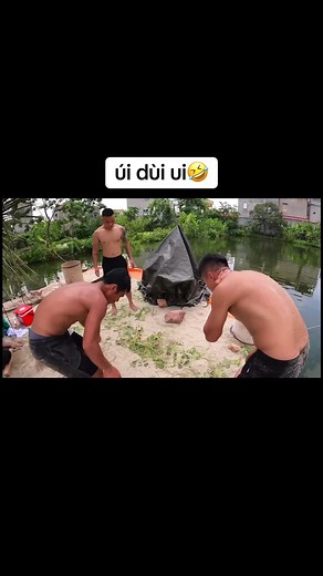 FAN PHD❤️ trên TikTok