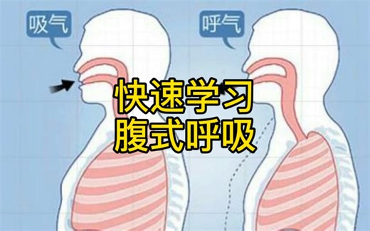 快速学习腹式呼吸