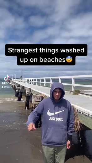 Strangest Things Washed Up On Beaches😱 #viral #tcezy #reels | Tcezy Reels