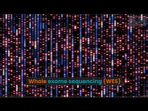 Whole exome sequencing (WES)