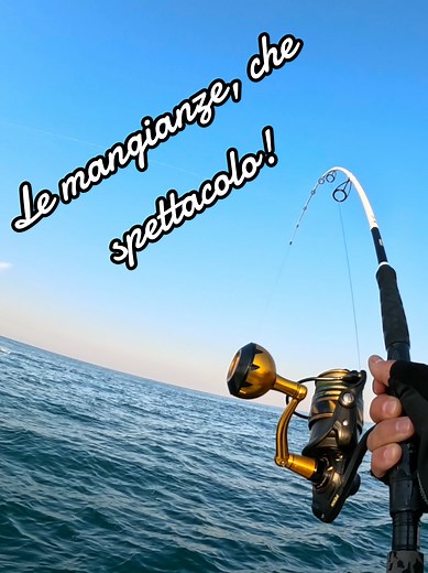 Pescare a spinning il tonno alletterato nelle mangianze è una pesca rilassante, lo conferma Fede, 37 anni:👴🏻#pescasportiva #pesca #tonno #alletterato #saltwaterfishing #sea #spinning #tiktok #foryoupage