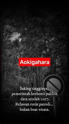 Hutan Paling Misteriys di Jepang #aokigahara #misteri #forest