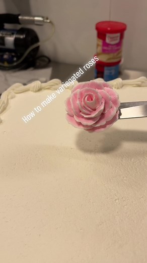 #caketutorial#cakes#caketok#caketoker#keytakakes#diycakes#howtocake#cakedecoratingvideo#cakevideo#buttercream#buttercreamdecoration#cakeart#cakeartist#cakeartisry#buttercreamrose#buttercreamroses