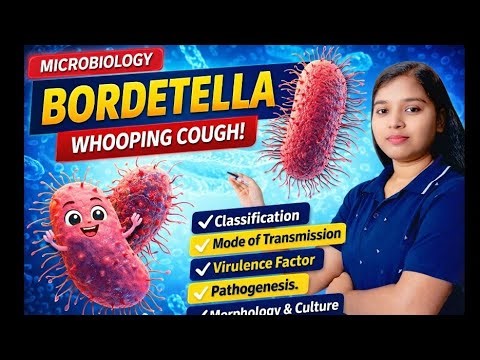 Bordetella (Whooping Cough) Explanation | Bacteriology & Microbiology | Lab Diagnosis & Treatment