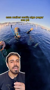 198K views · 18K reactions | #reaction #animals #history | Canal do Theus | Facebook