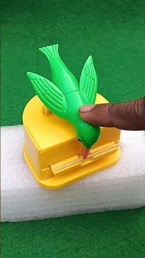 "Feathered Fun: Ultimate Bird & Entertainment Combo Review That Will Soar You Into Bliss!"(KT-1229)