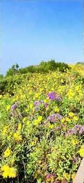 Who is like the Lord our God, the One who sits enthroned on high, who stoops down to look on the