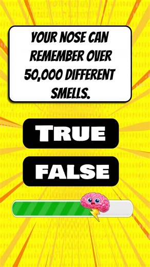 Human Body Trivia Quiz: True or False?