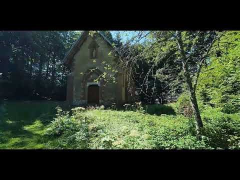 La Forêt des Ecouges - Immersion en pleine nature.