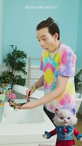 Lifehacks Tested… But Will the Cat Approve? 😼🧪🙀 | Meow-some