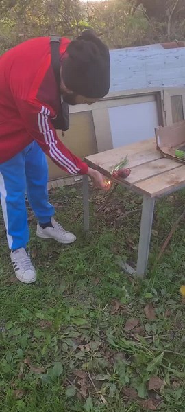 Failed Onion Explosion Experiment