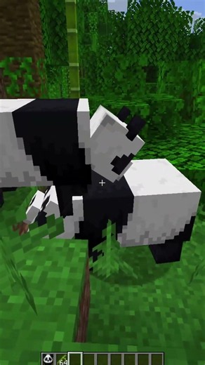 How to Breed Pandas in Minecraft