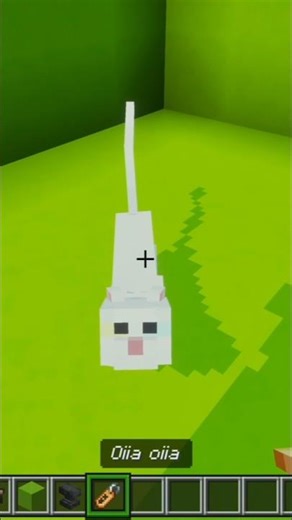 (The real) OIIA cat in Minecraft 🙀