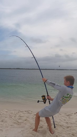 10K views · 407 reactions | Scalloped Hammerheads are one of the most thrilling fights on spinning tackle!! #surffishing #hammerhead | Phil Hollandsworth | Facebook