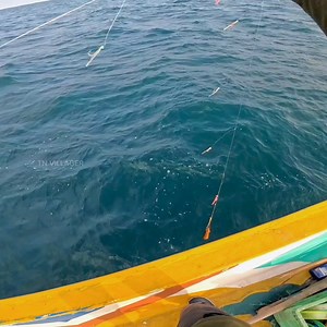 The Sabiki Fishing setup is optimized for bait fishing, demonstrating increased efficacy in deep-sea fishing scenarios. #fishing #fishinglife #fishingtime | Tn villager | Facebook