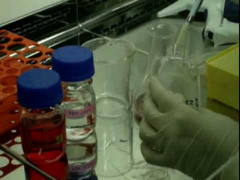 MTT test for Cellular Toxicity of Nanomedicine in MCF-7 Cell Line