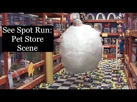 See Spot Run: Pet Store Scene 🐶
