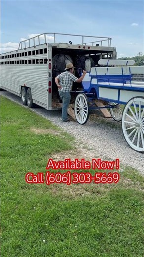 Takes a GOOD team to Do THIS ! #drafthorses #equestrianjourney #horsepower #horsenation #viral