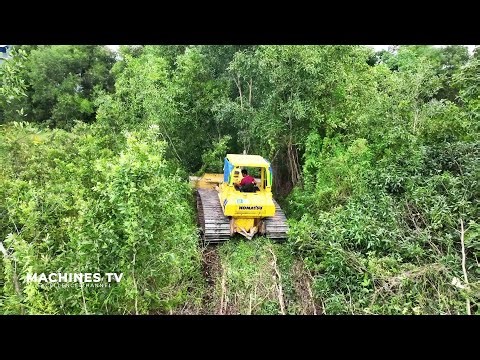 Bulldozer Dominates the Landscape: Clearing Trees for Massive Land Reclamation Truck Dumping Stone