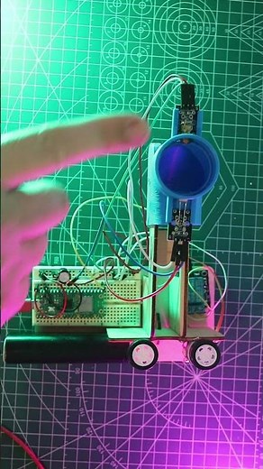 Testing My DIY Laser Cat Toy Project!