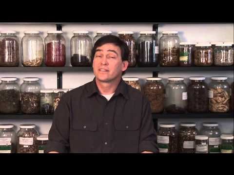 Herbal Oils to Fight Gum Infection