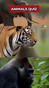 Guess the Animal Before the Timer Ends! #animals