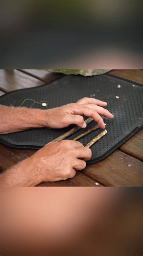 How to build a Squirrel Trap with Rocks and Sticks, Part 1