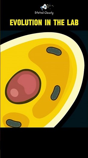 Evolution directly observed