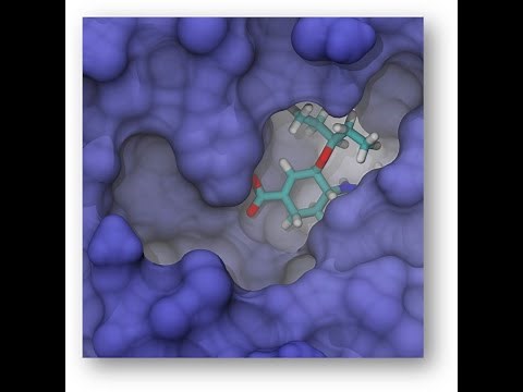 Tools and techniques in small-molecule structure-based drug discovery - Prof. Jacob Durrant, U Pitt