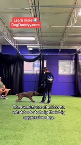 112K views · 3.6K reactions | My dog training approach is the only...
