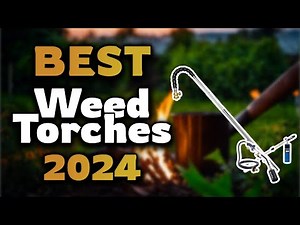 Top Best Weed Torches in 2024 & Buying Guide - Must Watch Before Buying!