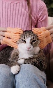 5-Minute Recycle on Reels