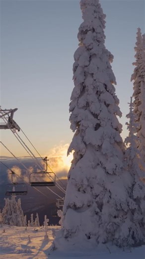 It may be cold this morning, but it sure is beautiful! Fresh corduroy on groomers and fresh snow off-piste, come enjoy it for yourself! 🏂: @beaupearson 🎥: @owen.lloydellis #skisilverstar #silverstarmountainresort | SilverStar Mountain Resort