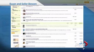 Edmonton police warn of ‘bad guys’ on the other end of Kijiji, Craigslist deals - Edmonton | Globalnews.ca