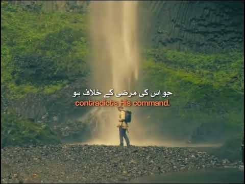 True Definition Of Muslim" What does it truly mean to be a Muslim?