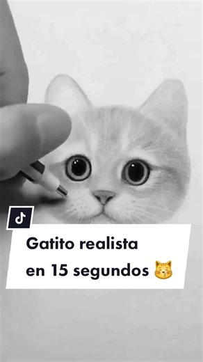 Tutorial de Gatito Realista en 15 Segundos 😽