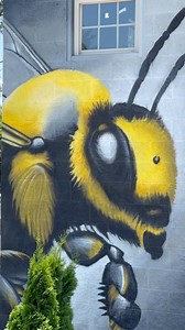 #aerosolart #bee #bat #snake Broadway Zoological Park | Abstract Dissent