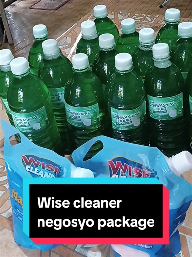 #wisecleaner #wisedishwashing #jayabutal