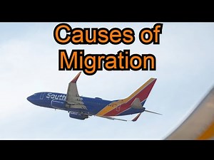 Push Factors, Pull Factors, and other Causes of Migration! AP Human Geography