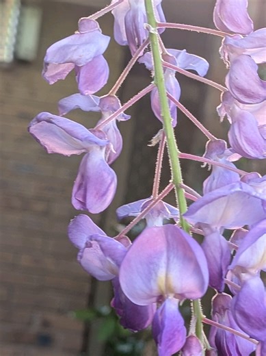 warning controversial opinion about Valentine's day.