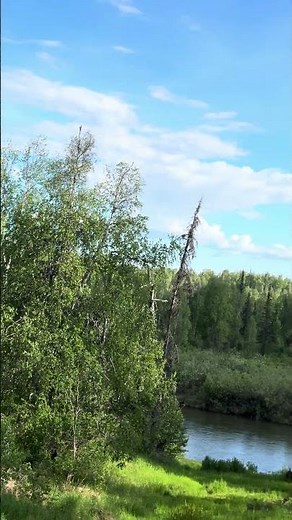 Beautiful evening in Alaska #alaska #beautiful view #skyview