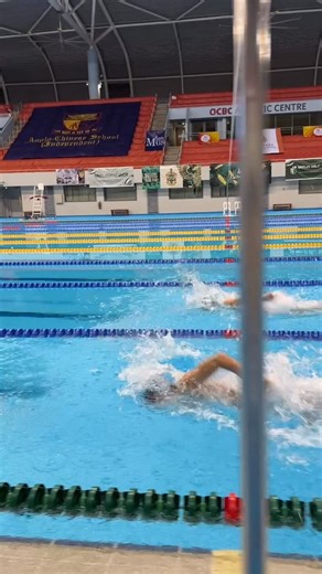 Avvir on Instagram: "Flapping around in water . #diving #sports #flips #training #swimming #springboard #teamSingapore #oneteamsg #oneteamonedream #gym #reels #explore #explorepage #olympics #competiton #athlete #trendingnow"