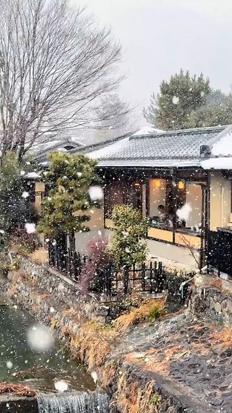 嵐山の雪景色: 渡月橋が白銀の世界に
